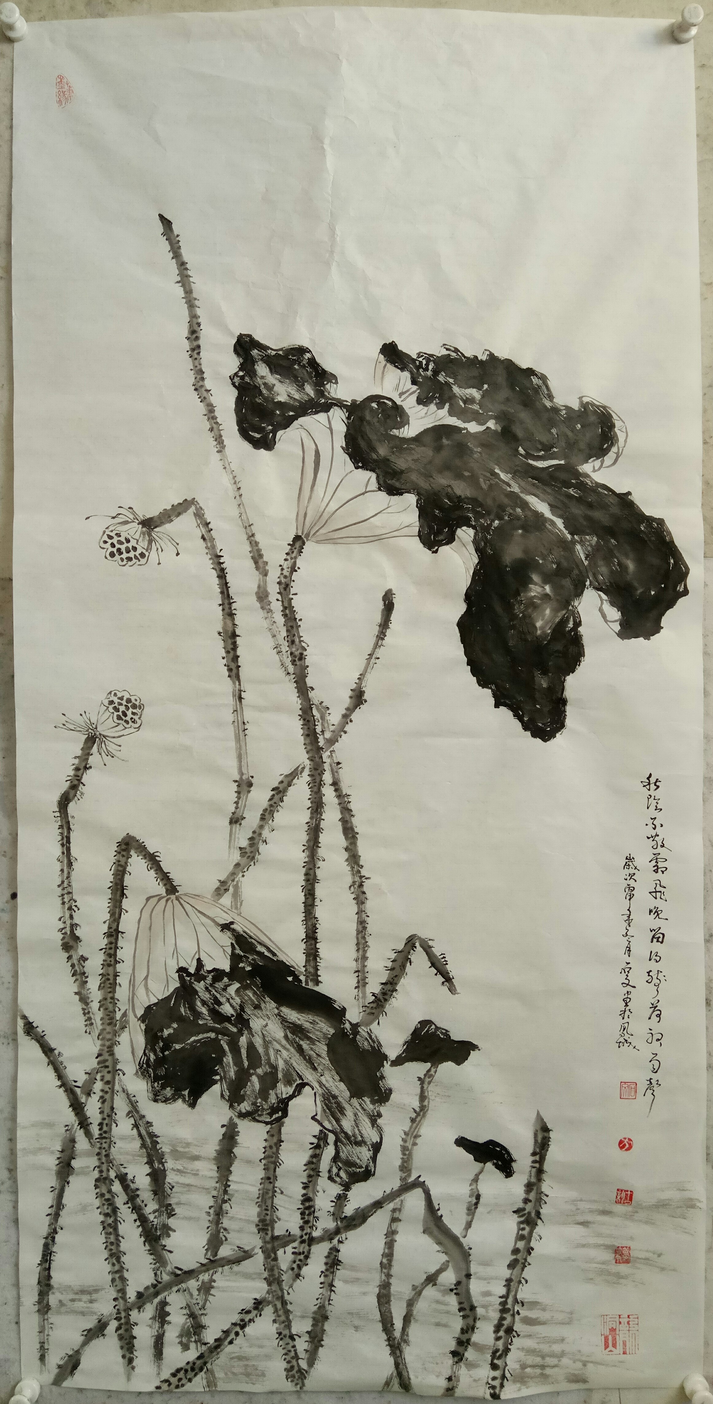 青年画家石文简介 水墨荷花 作品鉴赏